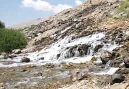 Munzur darda, sahip çık!