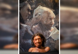 İnsanın kökenleri: Son altı keşif