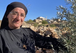 Zeytin fidanlarından ne istediniz?