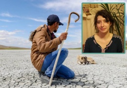 Kurdistan için ekolojik mücadele 
