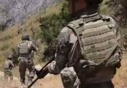 Türk varlığı sınırlandırılabilir