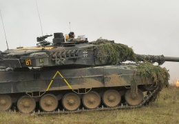 Leopard için yeşil ışık  