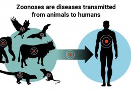 BM risk haritasını çıkartıyor