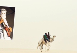 Çölün gerillaları