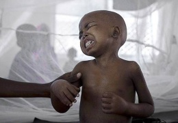 Kolera endişe verici boyutta