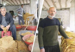 Tütün de enkaz altında