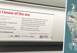 ‘Deniz hakkında bilgim şu kadarcık’