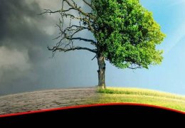 Kent+devlet: Ekoloji yıkım 