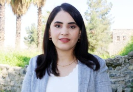 Yadê Gulê'nin Newroz’u Meclis yolunda