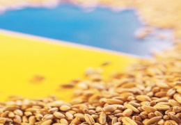 Tahıl koridoru uzatılsın isteği