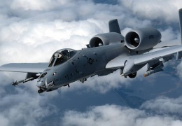 Warthoglar tekrar Ortadoğu’da