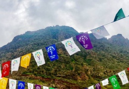 Seçimlerin aritmetiği