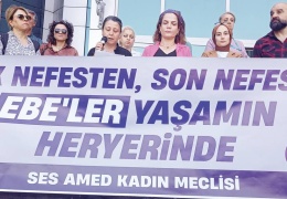 Sağlık sistemi ebeleri görmüyor