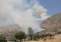 Eğer bir Kerbela aranıyorsa…