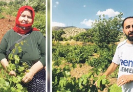 Kurdistan'da bağcılık yok oluyor