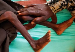 Açlık fil eti yedirtti