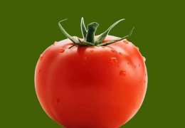 Hindistan’da ‘domates güvenliği’ sorunu