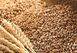 Buğday fiyatları yüzde 8 arttı