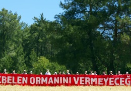 Memleket yanarken
