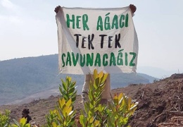 Ormanlar savaş alanına çevriliyor!