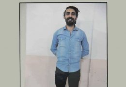 Dört aydır tekli hücredeler