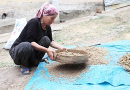 Şimdi sumak zamanı