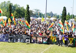 31. yılında bir festivale katılmak