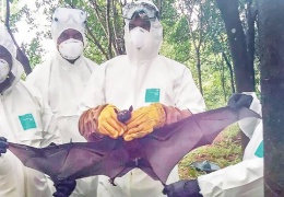 Hindistan’da 3. Nipah salgını