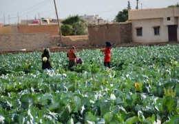 Erdê Rojavayî bi destê cinîyan newe ra zergûn beno