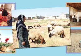 Rojava'da kadın kooperatifleri