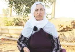 63 yaşındaki Samur’a işkence