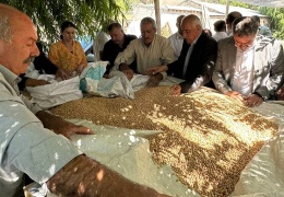 Belediyesiz belediyecilik