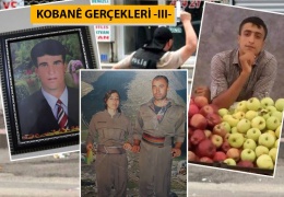 KOBANÊ GERÇEKLERİ-3: Dargeçit'te üç fidan...