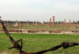 Almanya ırkçı ruhunu mu tazeliyor?