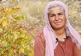 Kış sofralarını tatlandırıyor