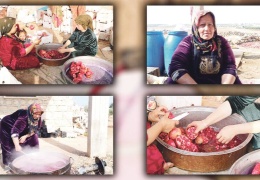 Efrîn’in nar suyu
