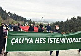 Salgın krizinde ekolojik yıkım fırsatı