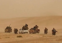 DAİŞ’in Suriye bilançosu: 524 ölü