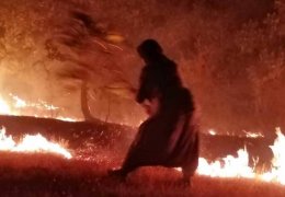 Botan’ın ekolojisi mahvediliyor