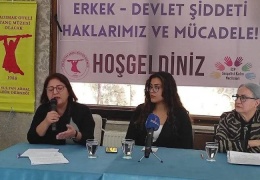 Dêrsimijî vera camêrd-dewlete veng danê