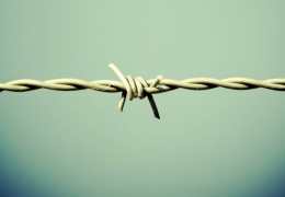 Cezaevlerinde açlık grevi, ülkede açlık var