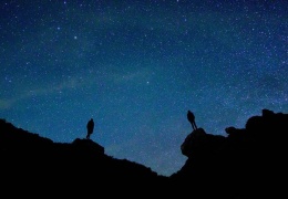 Birey-toplum, doğa-evren bütünlüğü