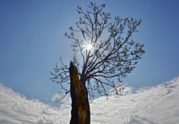 Yeni yıla umutla bakabilmek için