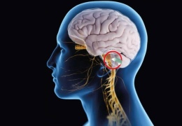 Trigeminal Nevralji 