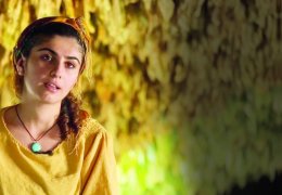Bê zar û bê ziman e jiyan, lê diaxive…