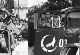 Bir vahşetin anatomisi!