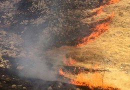 Gabar Dağı 11 gündür yanıyor