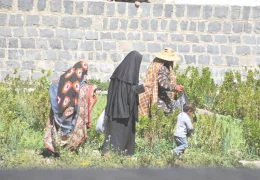 Li Yemenê jiyan li jinan zortir dibe