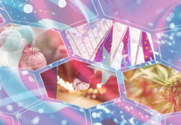 Avrupa’nın torbacısı Türkiye