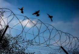 İçeriden bakan gözler